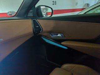 DS DS 7 CROSSBACK 2019