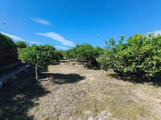 Terreno en venta en Molina de Segura ciudad en Molina de Segura