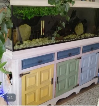 Acuario completo o separado