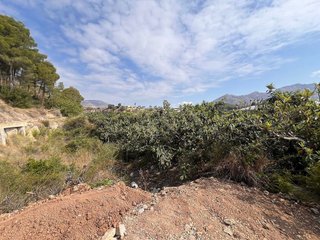 Terreno en venta en Nucia (la)