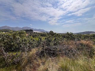 Terreno en venta en Nucia (la)