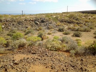 Terreno en venta en El Médano en Granadilla de Abona