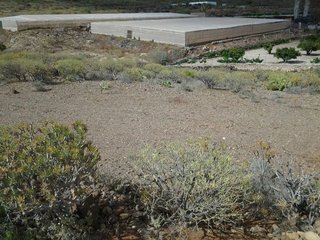 Terreno en venta en El Médano en Granadilla de Abona
