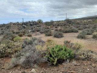 Terreno en venta en El Médano en Granadilla de Abona