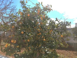 Terreno en venta en Sant Jordi - Son Ferriol en Palma de Mallorca