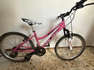 Bicicleta rosa nueva