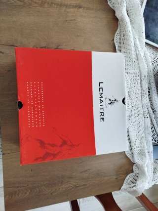 Bota de seguridad Lemaitre para frío extremo