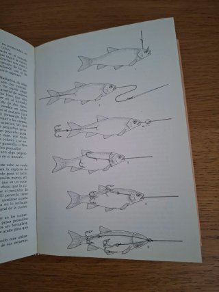 Libro "La pesca"