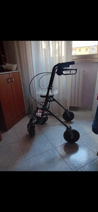 Vendo girello nuovo mai usato,con freni da esterno