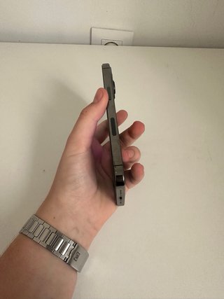 iPhone 13 Pro Gris/Plata