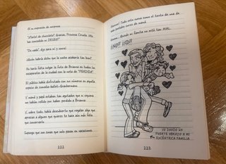 Libro El diario de Nikki