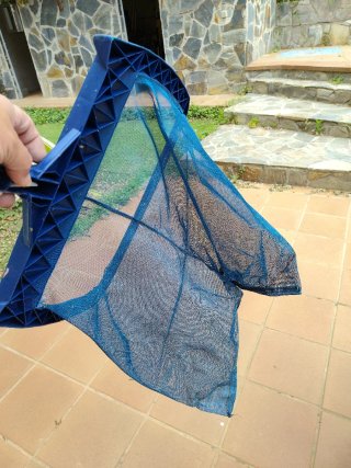 Red para piscina azul