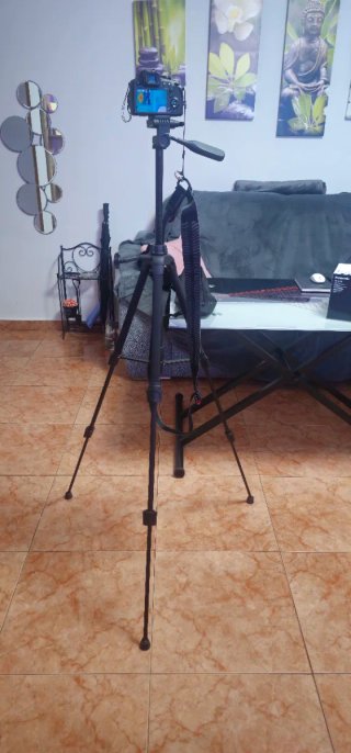 Vendo cámara Panasonic Lumix DC-FZ82, 4K.