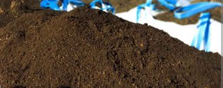 Tierra abonada para jardín y plantas
