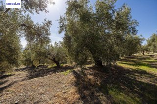 Terreno en venta en Dúrcal