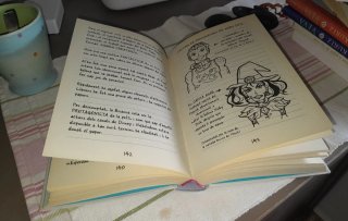Diari d'una penjada. SMR sobre patins