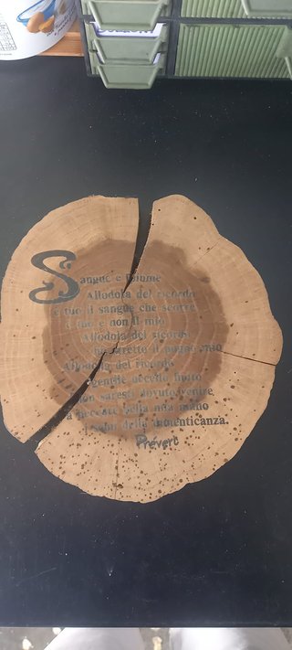 Ceppo legno poesia Prevert Sangue e piuma