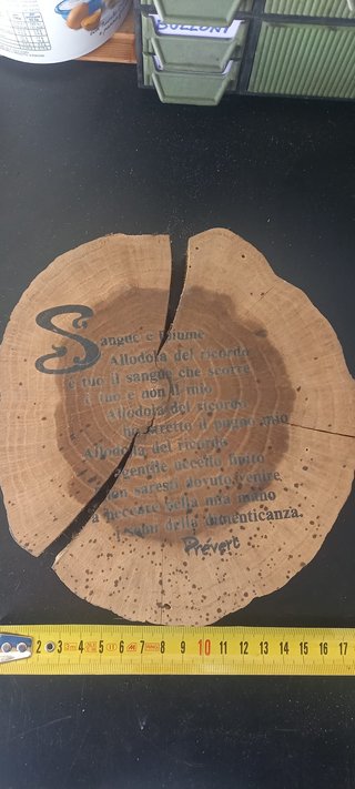 Ceppo legno poesia Prevert Sangue e piuma