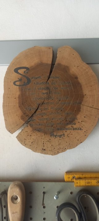 Ceppo legno poesia Prevert Sangue e piuma