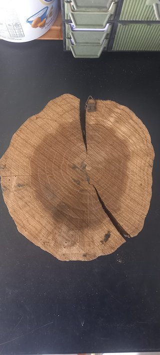 Ceppo legno poesia Prevert Sangue e piuma