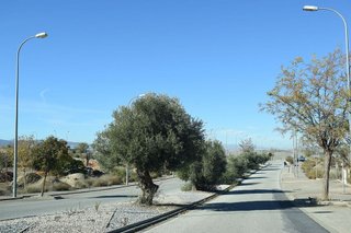 Solar en venta en Otura