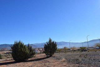 Solar en venta en Otura