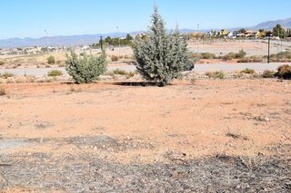 Solar en venta en Otura