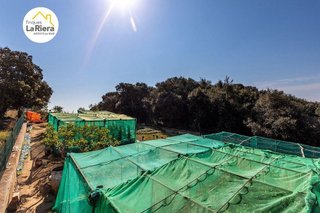 Solar en venta en Arenys de Mar
