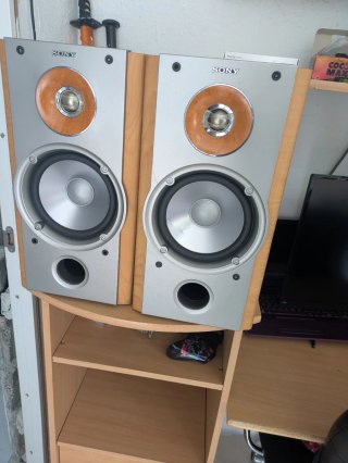 Altavoces Sony SS-NX1