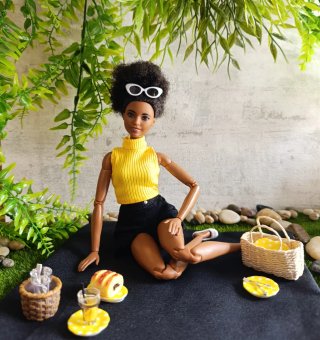 Barbie set picnic miniatura escala 1/6 reversible