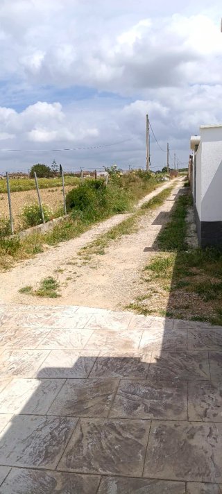 Busco alguien50 para que elimine malas yerbas