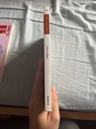 Tirant lo Blanc