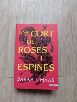 Una cort de roses i espines