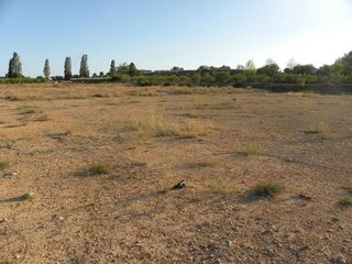 Terreno en venta en Caravaca de la Cruz