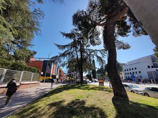 Local comercial en alquiler en Colina en Madrid