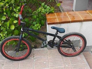 Bicicleta BMX Monti Free 301