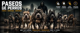 PASEADOR DE PERROS