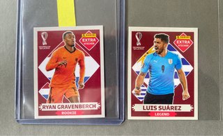 Panini Extra Stickers Qatar 2022