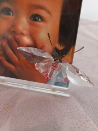 Marco con mariposa Swarovski