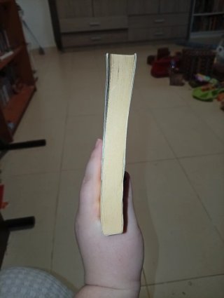 El niño y la bestia (novela)