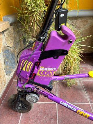 Patinete eléctrico 3 ruedas morado