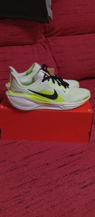 Nike Air Zoom Pegasus 41