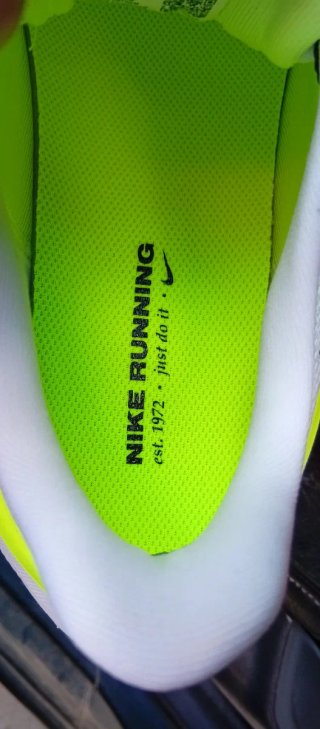 Nike Air Zoom Pegasus 41