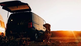Mercedes-Benz Vito 2001