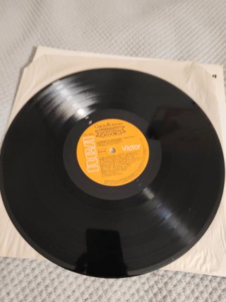 The Everly Brothers . Vinilo