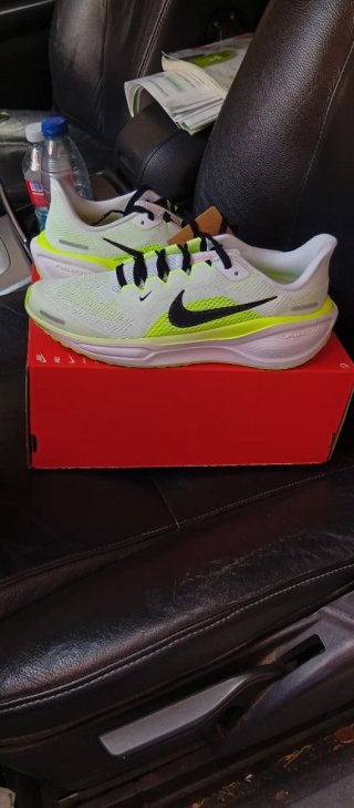 Nike Air Zoom Pegasus 41 Verde/Blanco