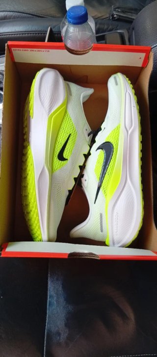 Nike Air Zoom Pegasus 41 Verde/Blanco