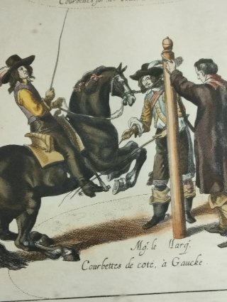 Litografia La Doma dei Cavalli