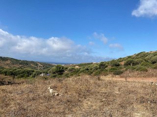 Casa rural en venta en Tarifa