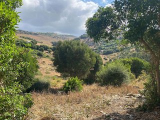 Casa rural en venta en Tarifa